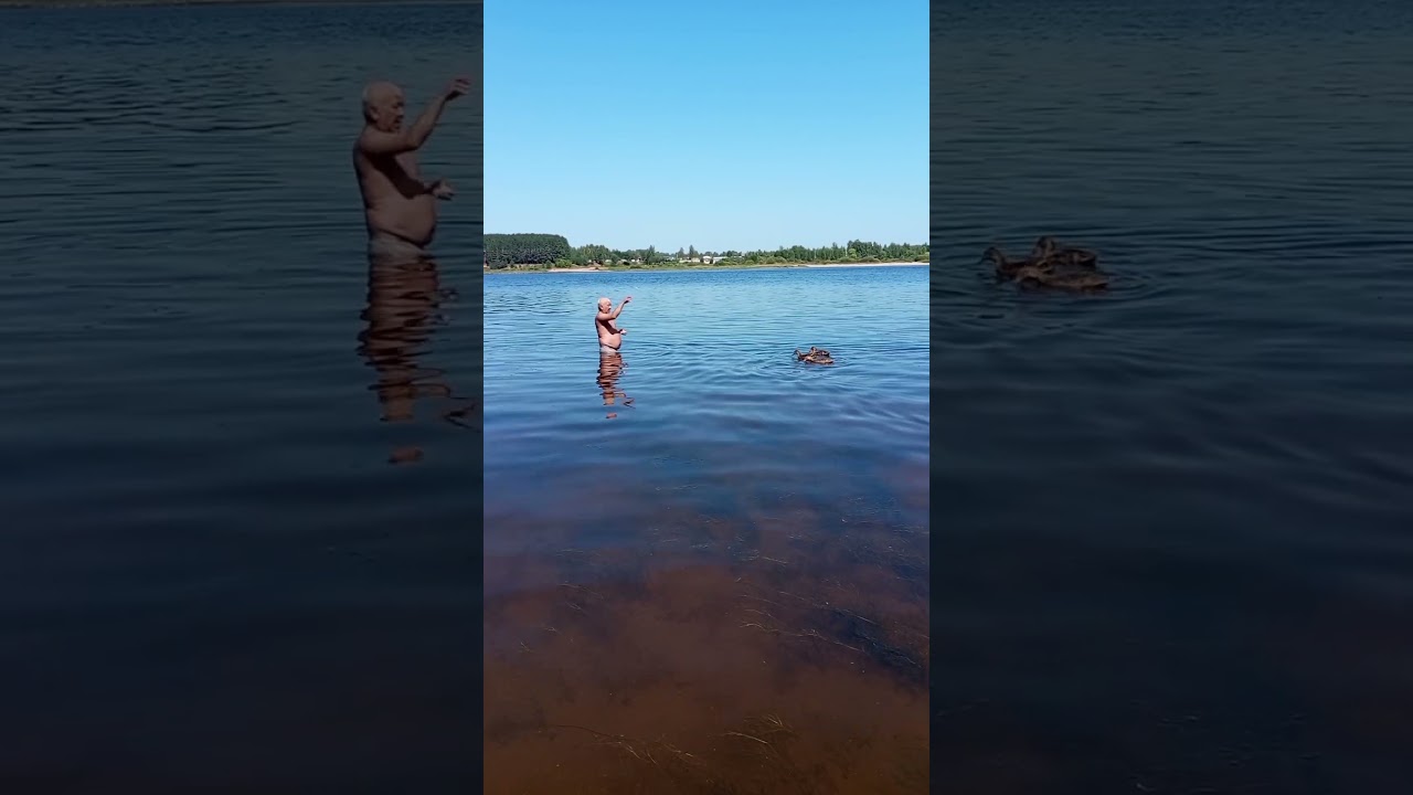 Неудачная охота за утей