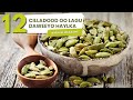 Caafimaadka Midhaha Haylka 12 Xanuun Oo Ka Hortag Iyo Dawo Ay U Noqon Karaan Caafimaadka Midhaha Haylka 12 Xanuun Oo Ka Hortag Iyo Dawo Ay U Noqon Karaan