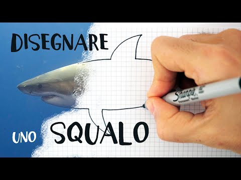 Video: Come Si Disegna Uno Squalo