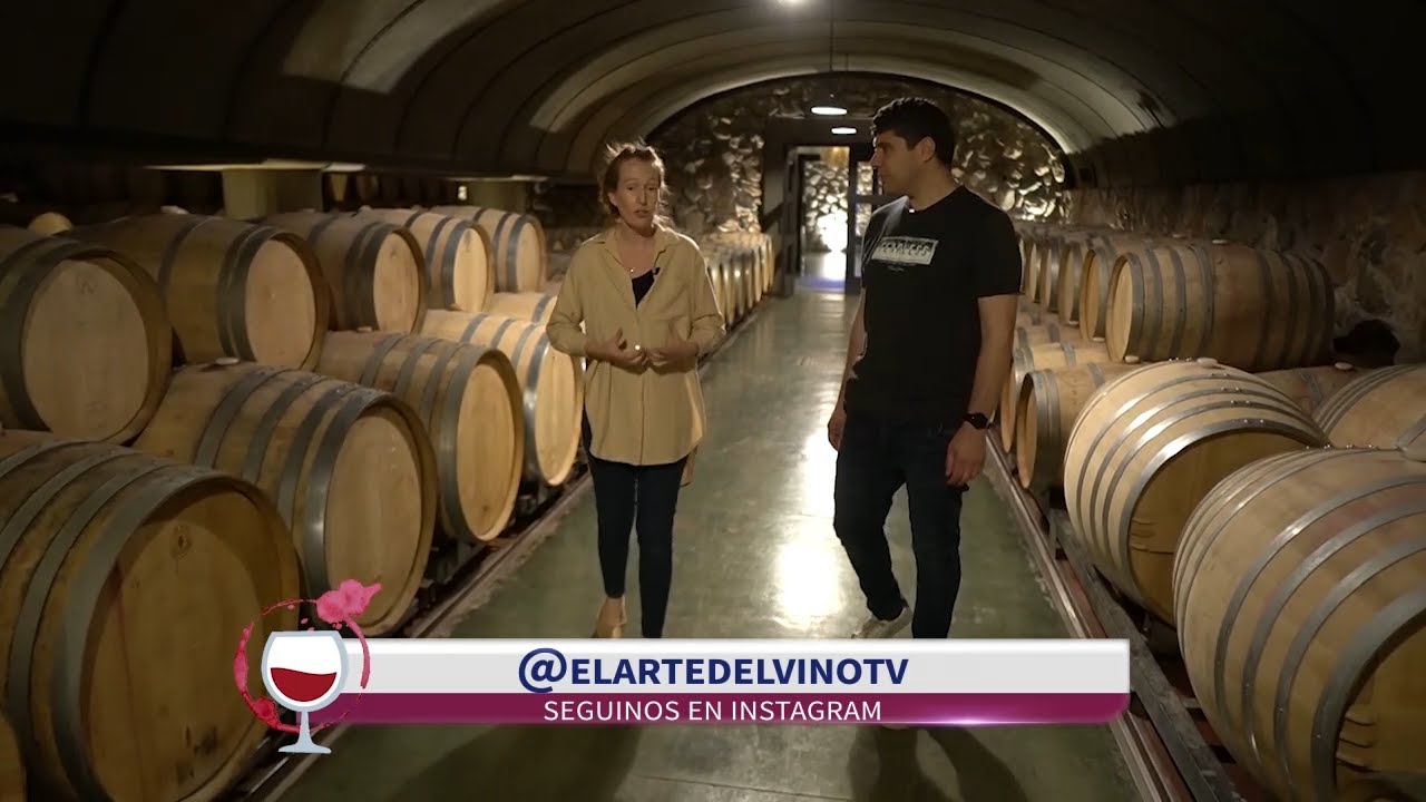 EL ARTE DEL VINO 133/2 - Visita a Bodega Vista Alba 4° Parte con ...