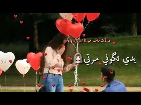 بدي ياكي انتي