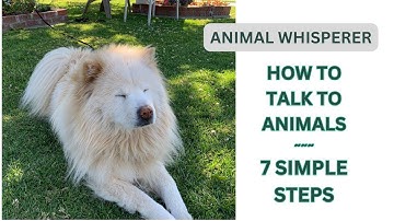 How To Talk to Animals: 7 Simple Steps #animalcommunication #animalwhisperer #telepathy #petpsychic