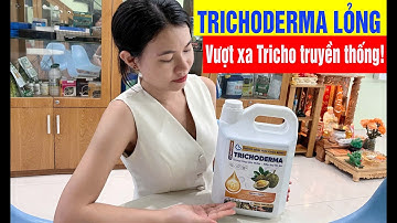 Thấm nhanh – Lan tỏa lẹ Trichoderma dạng lỏng khác biệt thế nào?