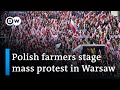 Polish farmers protest against Ukrainian imports | DW News