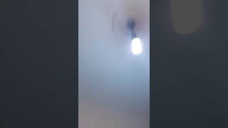 Biri Sibel Can Mı Dedi