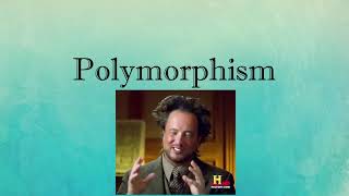 Polymorphism