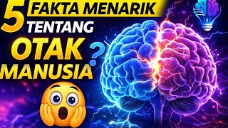 Inilah Fakta Otak Manusia, Kamu Harus Tau!!!