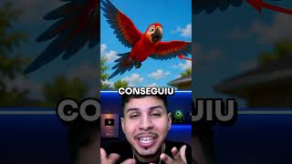 O PAPAGAIO NÃO CONSEGUIA VOAR!
