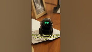 What can Vector Robot do #vector #vectorrobot #robotic #ai #shorts #robot #video #viral #fyp #foryou