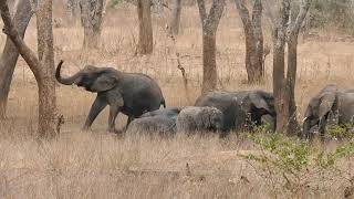⁣Earthwatch Expedition In Majete Wildlife Reserve, Malawi