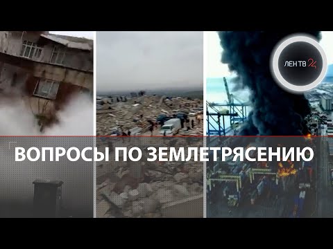 Видео: Эта собака была арестована за уничтожение рождественского украшения