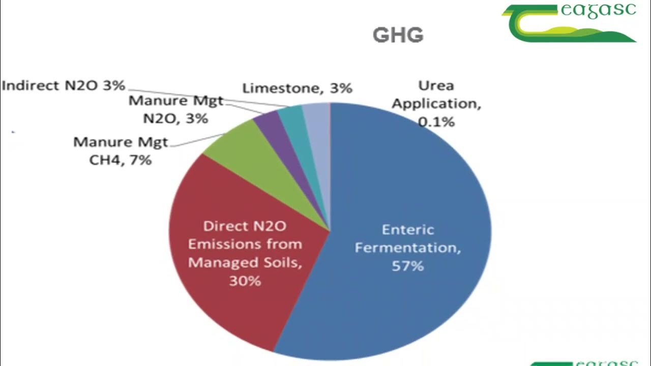 Why you should use Protected Urea? YouTube