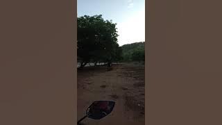 @KolamSusuk dalam lagu Koes Plus ternyata ada di Atambua NTT lho gaes