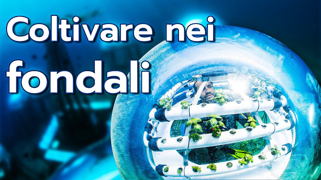 Si può COLTIVARE SOTT'ACQUA? Il primo orto subacqueo del mondo