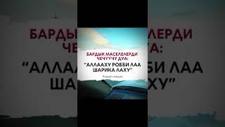 ✅ Видео жакса, лайк басып Поделиться кылыныз ✅Коментарий калтырып, сунуш бериниз #чубак#ажы#устаз