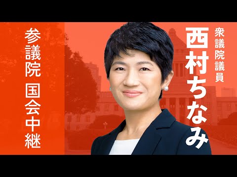 2026年7月24日 参議院 沖縄・北方問題及び地方に関する特別委員会