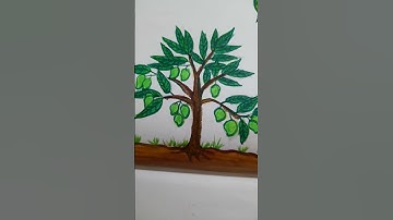 bonsai mango tree #short video