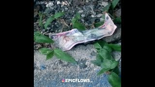 Honesty Pays