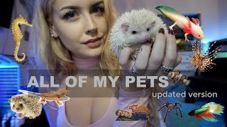 How Many Animals Do I Own? (ROOM TOUR) How Many Animals Do I Own? (ROOM TOUR)