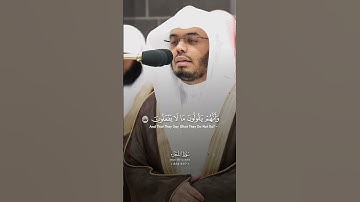 ما تيسر من سورة الشعراء ، القارئ الشيخ ياسر الدوسري #القرآن_الكريم #ياسر_الدوسري #رمضان_كريم#اكسبلور
