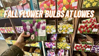 Lowes NEW 2024 Fall Planted Flower Bulb Inventory🌷🪻