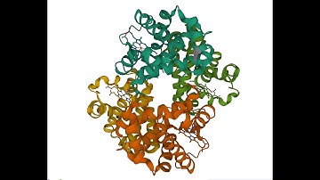 RCSB PDB Navigation