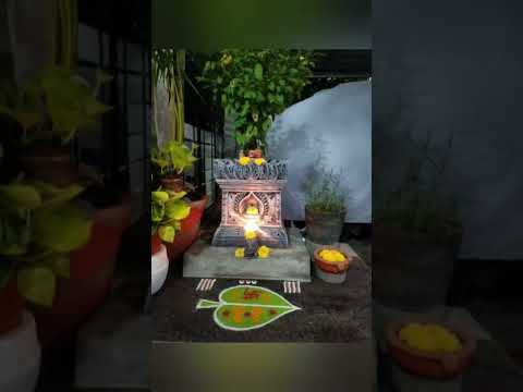 10 Best Tulsi