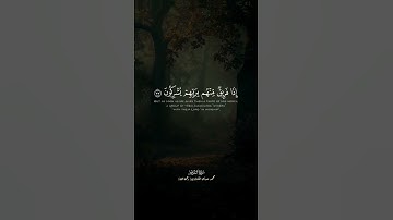 وَإِذَا مَسَّ النَّاسَ ضُرٌّ دَعَوْا رَبَّهُم مُّنِيبِينَ إِلَيْهِ | سورة الروم |محمد صديق المنشاوي