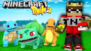 Hari Pertamaku di Dunia Ini Server Pixelmon Terbaik screenshot 4