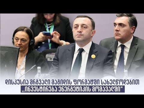 დისკუსია მრგვალი მაგიდის ფორმატში სახელწოდებით ,,ინვესტირება ენერგეტიკის მომავალში\'