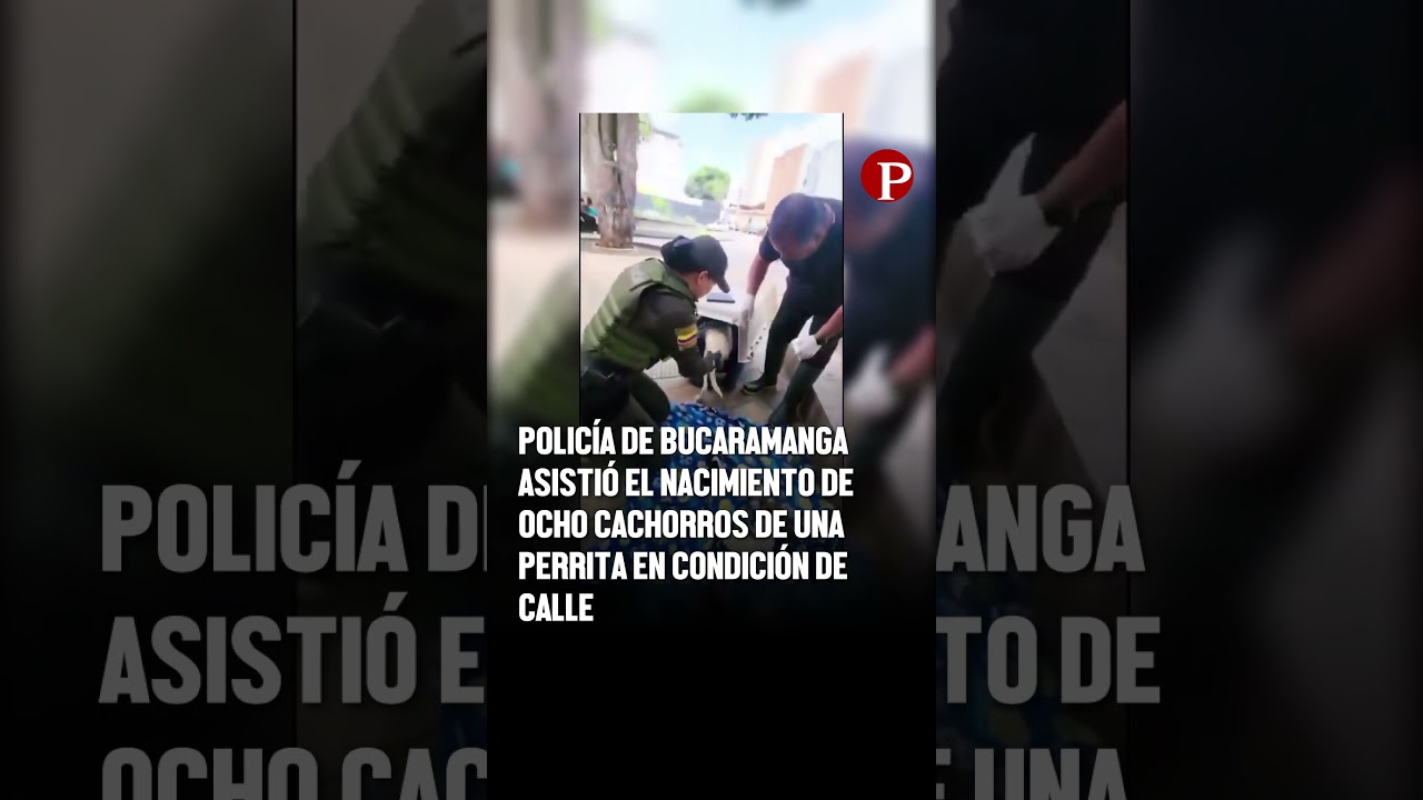 Esta policía asiste un parto en plena calle 🐕