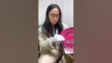 #polishingmachine #magnetic #deburring #factory #polishing #polish #ssst #metal #fyp #fy #machine