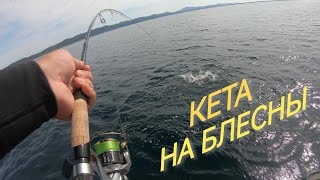 Кета на блесны! Покатушки с Егором!