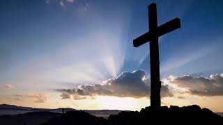 Walk On By The Good Samaritan