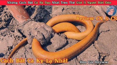 Những Cách Bắt Cá Kỳ Lạ Và Cái Kết Bất Ngờ || Mèo Mập Review || Review Con Người Và Cuộc Sống.