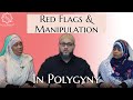 Red flags  manipulation in polygyny