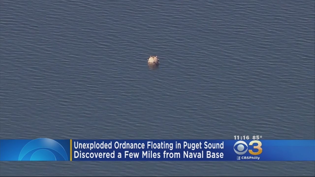 Unexploded Ordnance Floating In Puget Sound