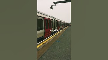 ( قال رب اشرح لي صدري ) 🤍 ، شريف مصطفى / سورة طه .