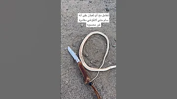 وقت خروج الثعابين والحي ات 