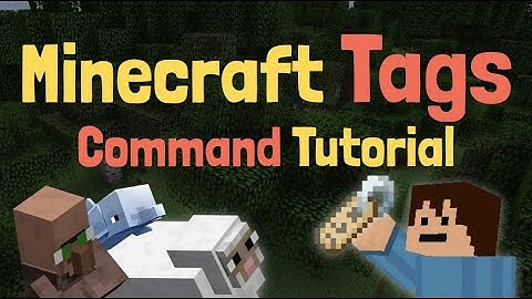 How to use the Minecraft Tag command in Minecraft! Minecraft /tag command tutorial Java