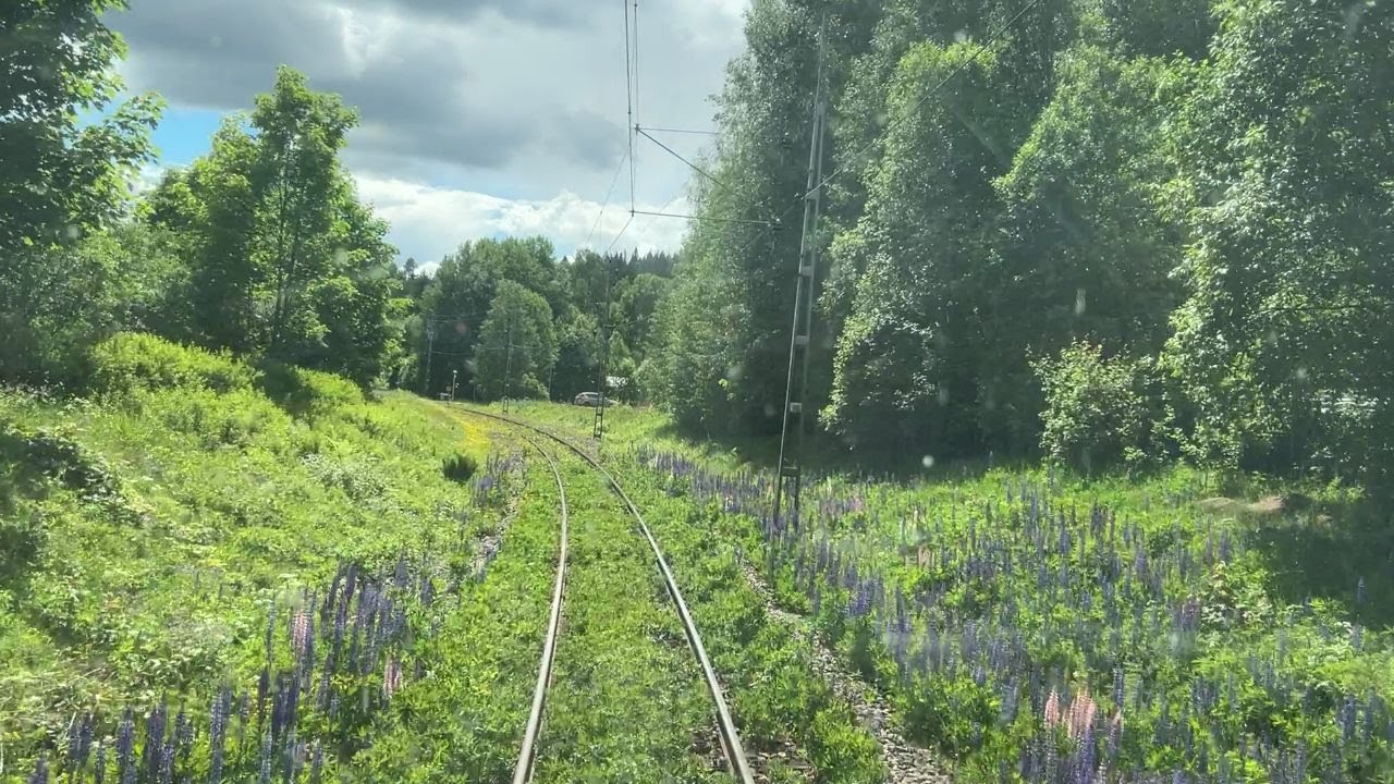Silverhöjdsspåret Grängesberg-Ställdalen [500 sub bonus]