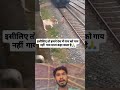 छोटी सी बच्ची को कैसे घूमता जान बचाए हम देखो #jay #Maa #love #video #shorts #viral #viralpicture