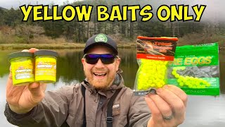 Yellow Bait ONLY Stocked Trout Fishing Challenge (Trout Opener!!) by Hermens Outdoors 1,288 views 1 month ago 19 minutes
