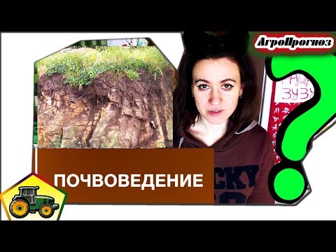 Как понять почвоведение? Самостоятельно стать почвоведом