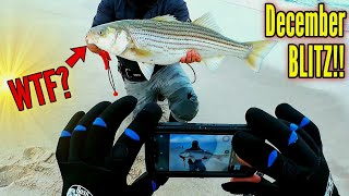 BIG STRIPED BASS BLITZ in DECEMBER! NEW JERSEY FALL RUN 2023 by Mental Health Day 3,300 views 5 months ago 17 minutes