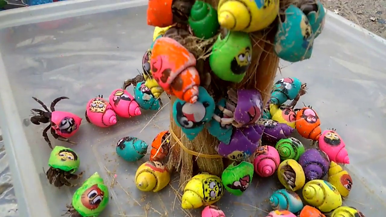 Blippi | Mainan Anak Indonesia Umang Umang Hias Lucu Part 3. Batam