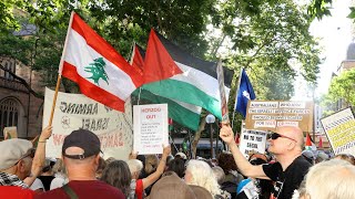 ‘What were they doing?’: Expert breaks down Sydney pro-Palestinian protests