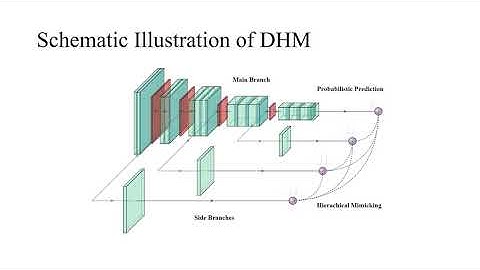 Dynamic Hierarchical Mimicking Towards Consistent Optimization Objectives