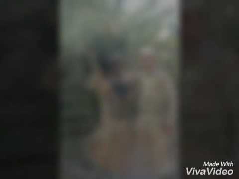 شهداء زينب في امان الله الشهيد البطل عباس مغير