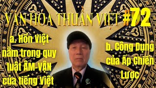 #VHTVIET Bài T72: A.HỒN VIỆT NẰM TRONG QUY LUẬT ÂM-VẬN CỦA TIẾNG VIỆT B. CÔNG DỤNG CỦA ẤP CHIẾN LƯỢC